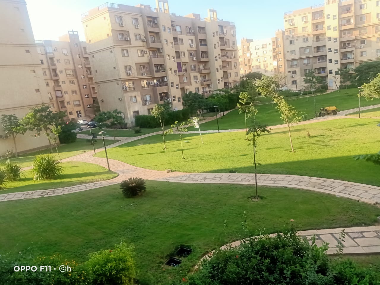 WhatsApp4 Image 2026-01-19 at 8.02.17 PM