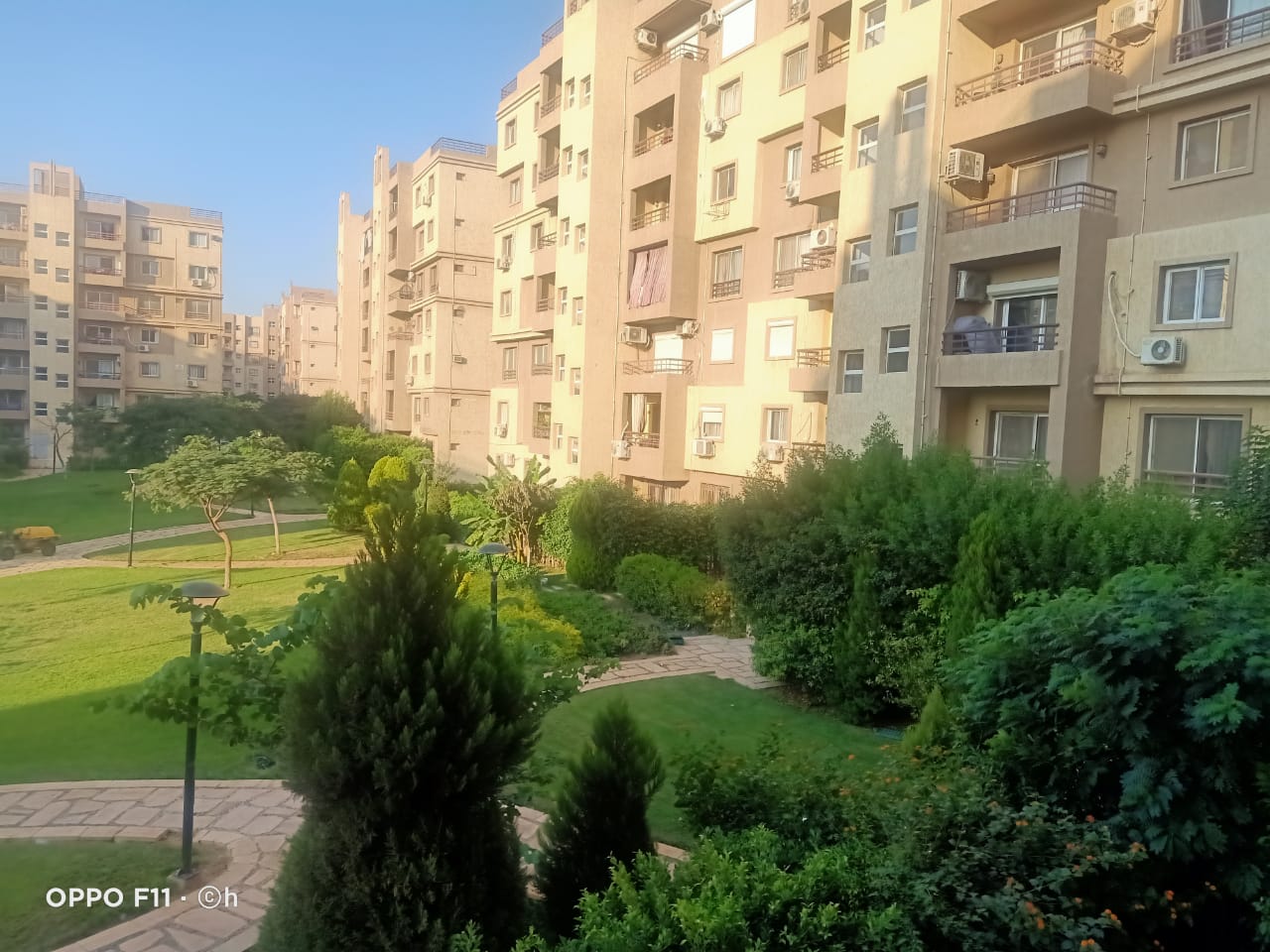 WhatsApp5 Image 2026-01-19 at 8.02.17 PM