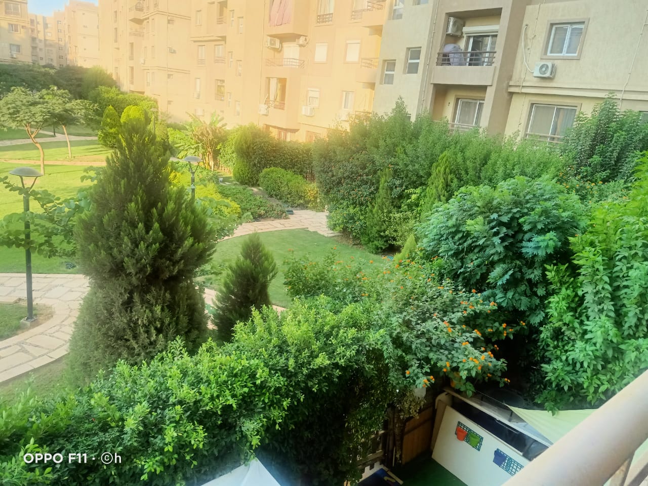 WhatsApp6 Image 2026-01-19 at 8.02.17 PM