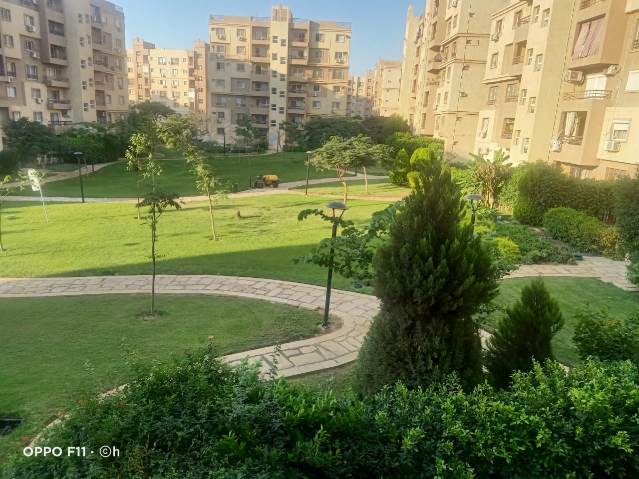 WhatsApp7 Image 2026-01-19 at 8.02.17 PM