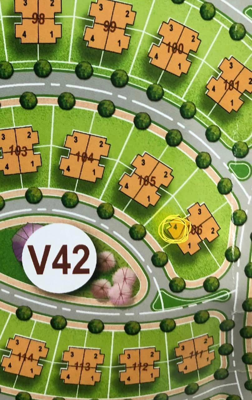 WhatsApp Image 2026-02-06 at 8.04.28 PM