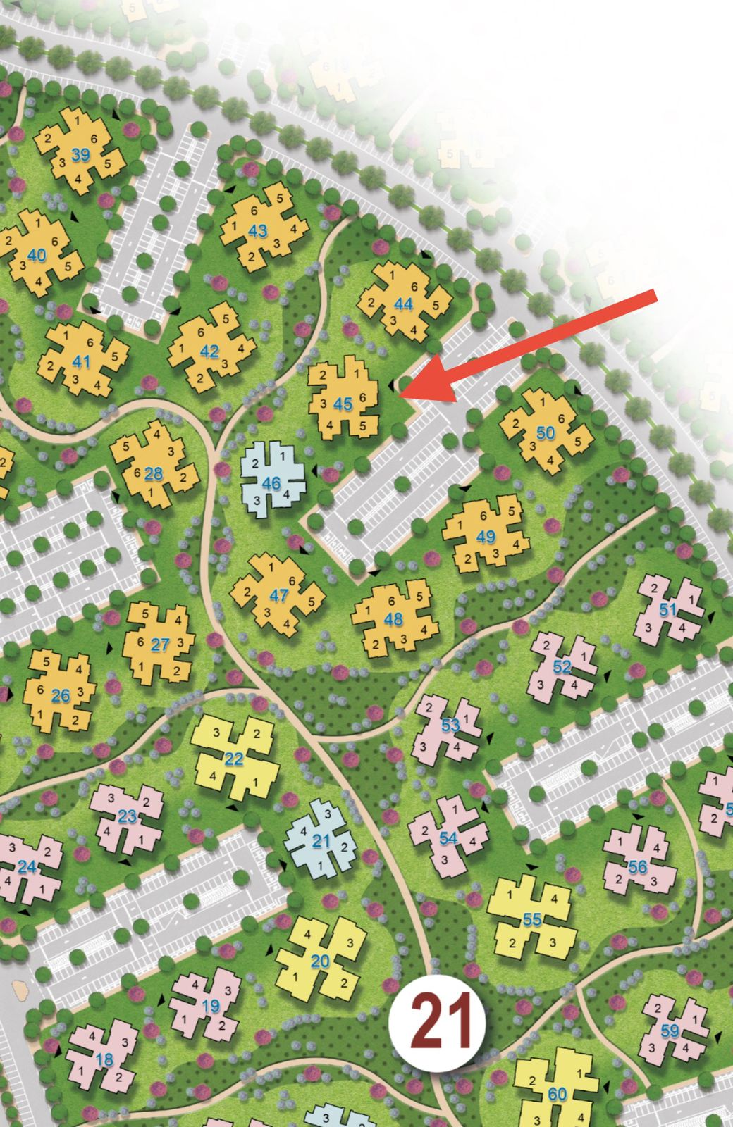 WhatsApp Image 2026-02-07 at 4.37.34 PM