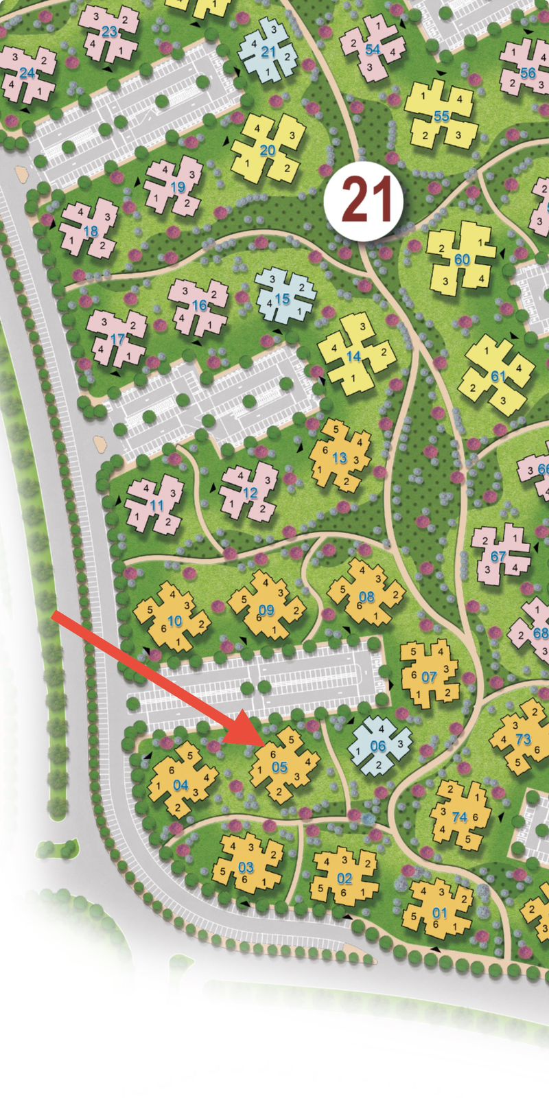 WhatsApp Image 2026-02-10 at 4.37.17 PM