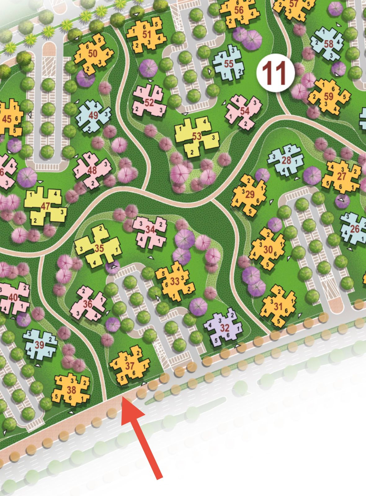 WhatsApp Image 2026-02-13 at 9.51.22 PM